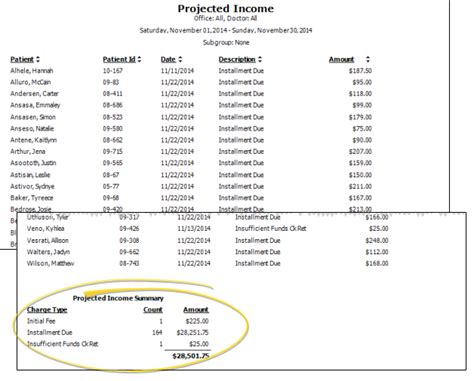 Bildergebnis für Projected Income Report