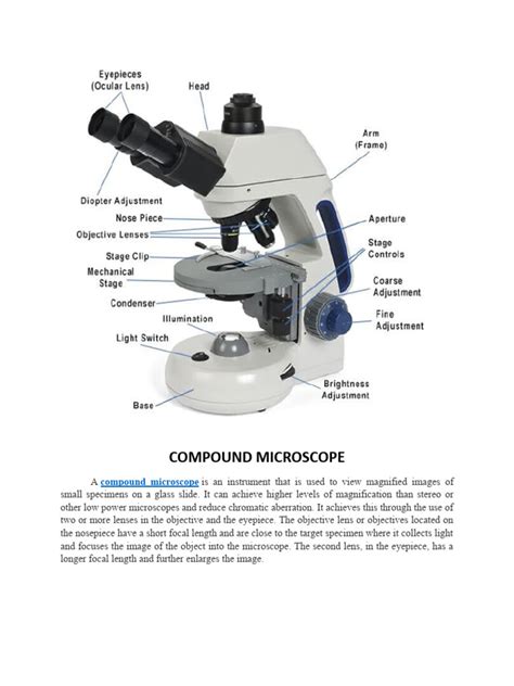 Image result for Compound Microscope Construction