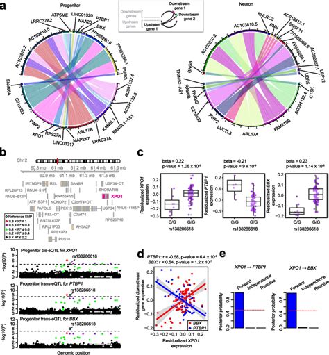 Image result for Cell Type Specific Gene Expression