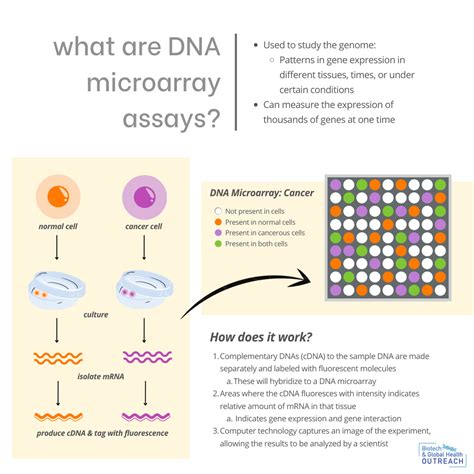 Toradh íomhá ar DNA Microarray Principle