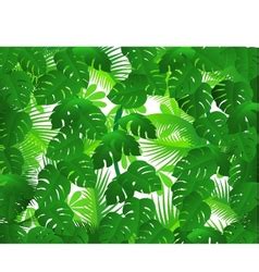 Image result for Forest Background Vector