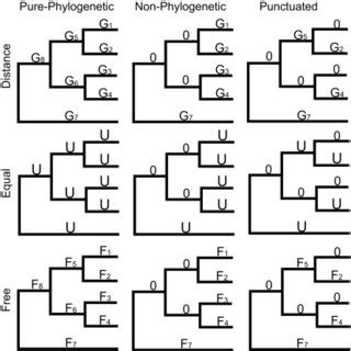Image result for Maximum Likelihood Evolution
