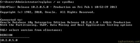 Image result for SAP Oracle Database