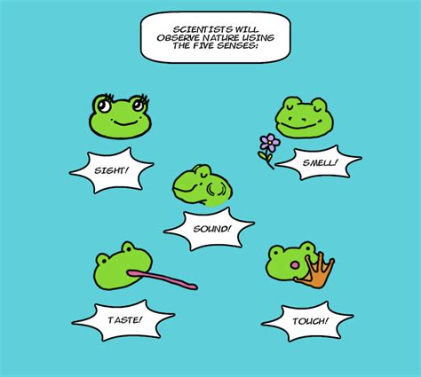 Image result for Science Definition Simple