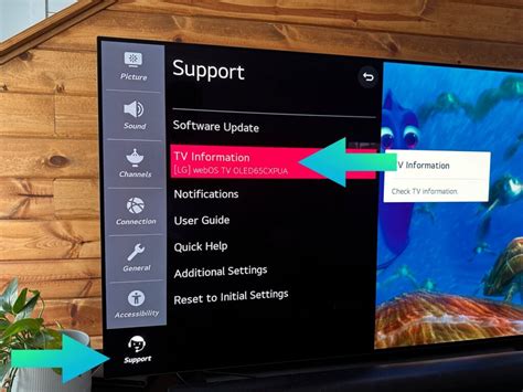 Image result for LG TV ModelNumber