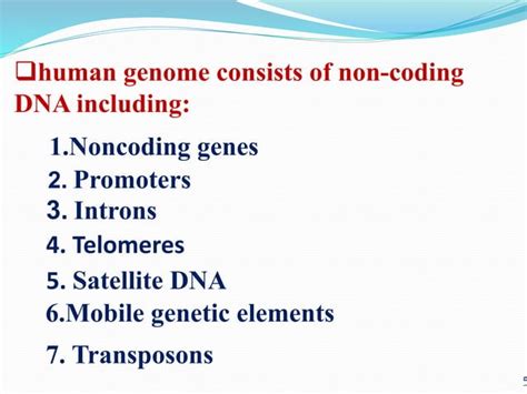 Image result for Coding N Non-Coding