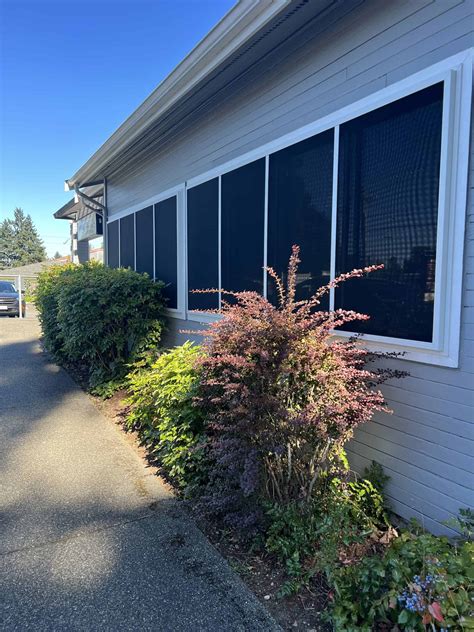 Security Window Screens Installer に対する画像結果