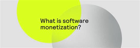 Image result for Software Monetization