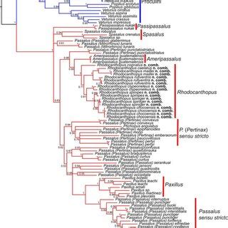 Afbeeldingsresultaten voor Bayesian Tree Flip