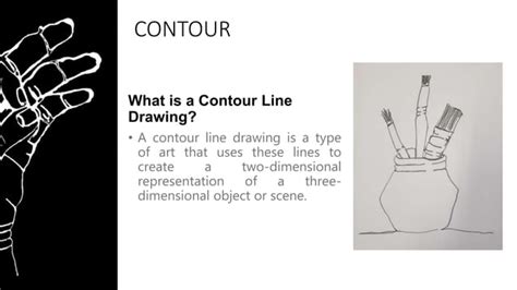 Image result for Continuous Contour Line Drawing Technique