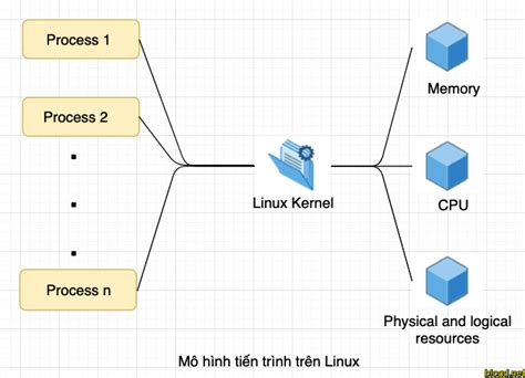Afbeeldingsresultaten voor Process Trong Linux