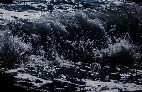 Image result for Java C Sharp Transparent