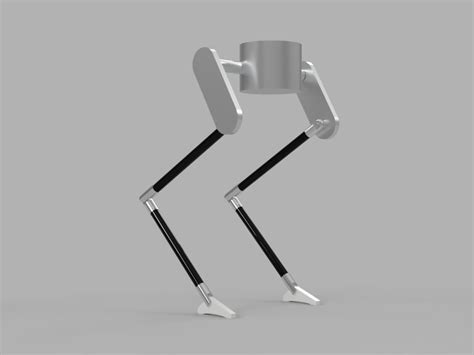 Image result for Java Man Bipedal