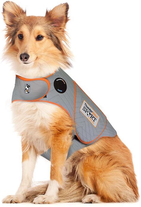 Image result for How to Make a Thundershirt for My Dog