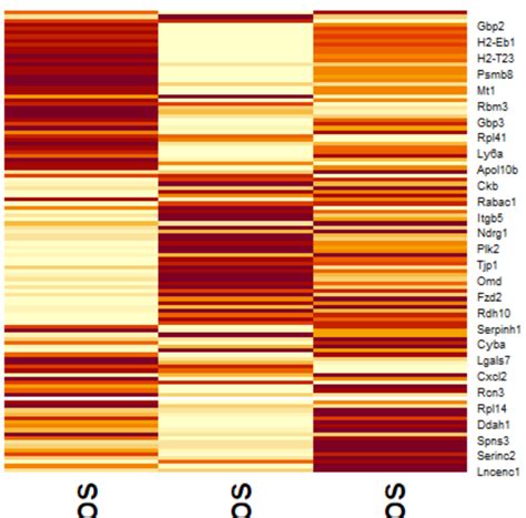 Image result for Heatmap Color Scale