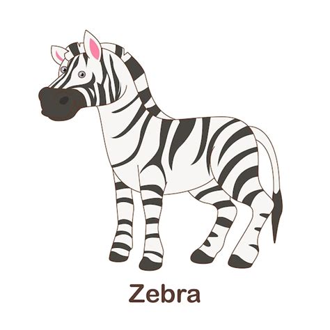 Image result for Zebra Flash