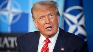 Fox News Trump Interview Transcript に対する画像結果