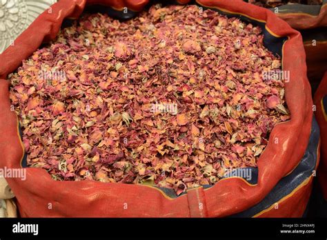 Toradh íomhá ar Tea Species