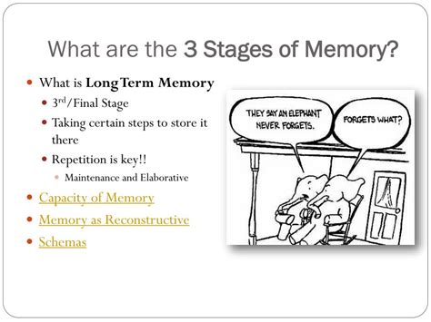 Example 7 of Memory に対する画像結果