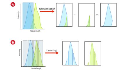 Afbeeldingsresultaten voor Spectral Flow Cytometry vs Flow Cytometry