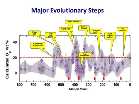 Image result for Evolutionary Steps