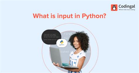 Image result for Python Input