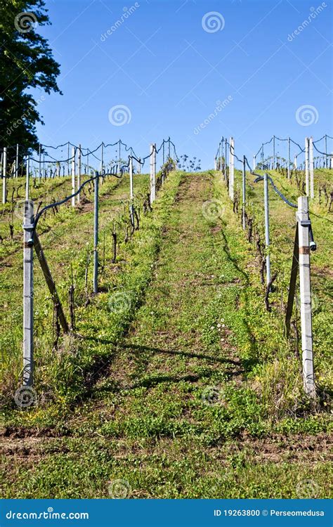 Image result for Edge Impulse Vineyard Irrigation