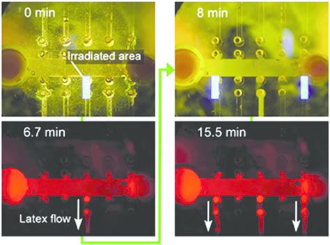 Microchannel Parallel Flow に対する画像結果