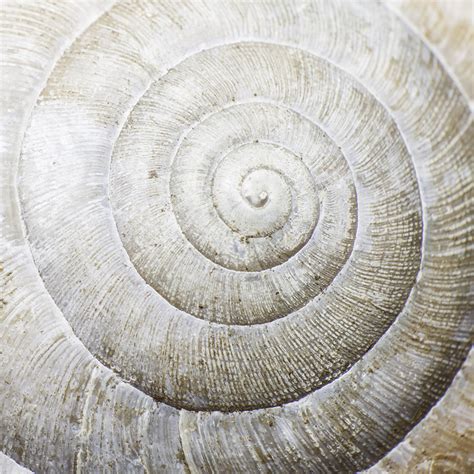 Image result for Block Hub