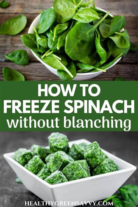 Image result for How to Freeze Spinach Leaves