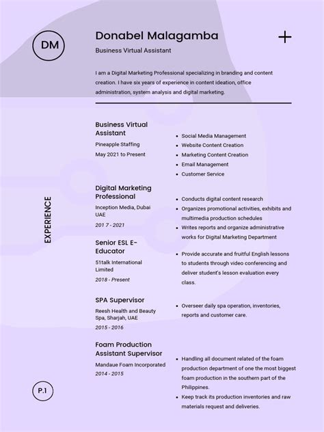 Image result for Resume Examples PDF