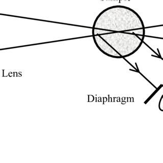 Image result for Dynamic Light Scattering Microscope Setup