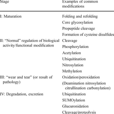 Protein Maturation Process માટે ઇમેજ પરિણામ