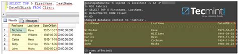 Image result for Database Query Linux