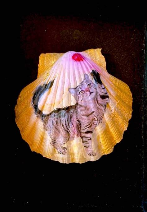 Shell Cat Drawing に対する画像結果