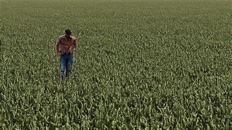 Image result for Crop Symbol