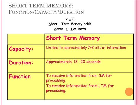 Image result for Function of Short-Term Memory