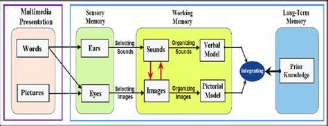Toradh íomhá ar Ineractive Learning through Multimedia