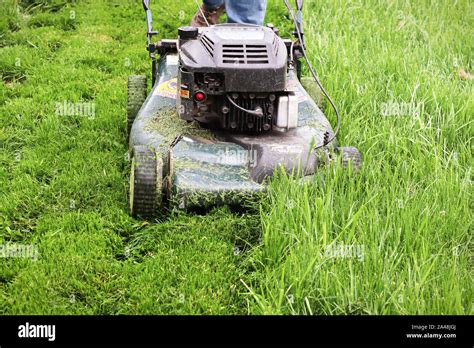 Image result for Tall Grass Cutter