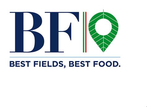 Toradh íomhá ar Bf Programming Language Logo