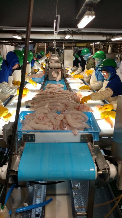 Image result for Quebec Fish Processor