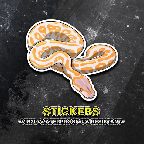 Image result for Python Decal