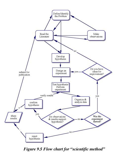 Toradh íomhá ar Scientific Sample Flowchart