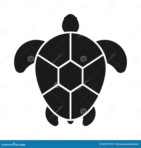 Top View Turtle Shape కోసం చిత్ర ఫలితం
