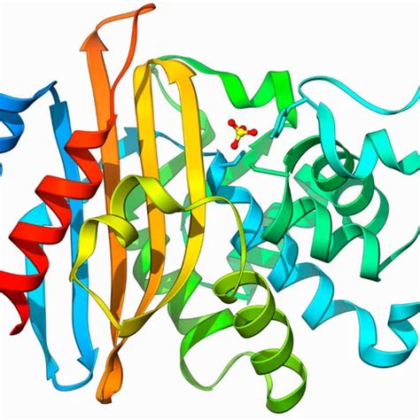 Amylase Enzyme Type ಗಾಗಿ ಇಮೇಜ್ ಫಲಿತಾಂಶ
