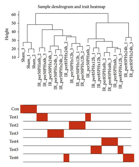 Image result for Dendrogram Heatmap