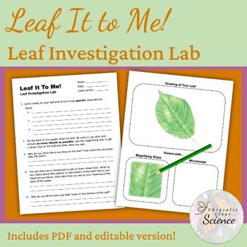 Image result for Science Lab Safety Leaf