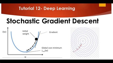 Stochastic Gradient Descent Giff に対する画像結果