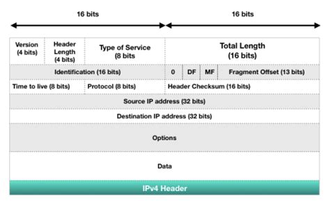 Image result for IP Protocol Header