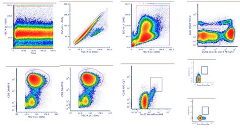 Image result for Flow Cytometry Gating